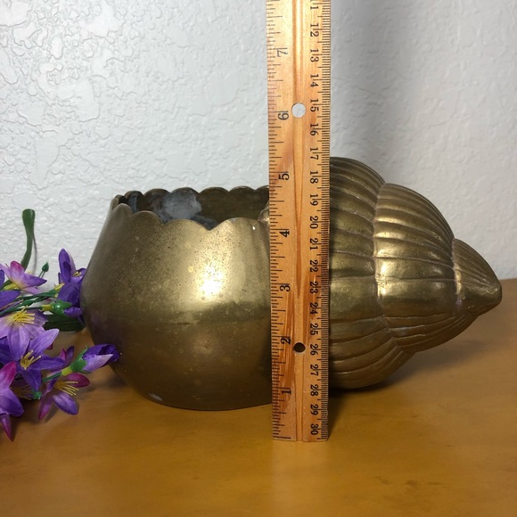 Solid Brass Clipart Conch Sea Shell Planter Vase - Picture 5 of 7
